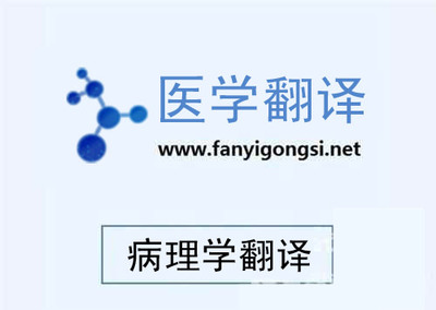 深圳溝通翻譯專業阿拉伯語翻譯-深圳市溝通翻譯提供深圳溝通翻譯專業阿拉伯語翻譯的相關介紹、產品、服務、圖片、價格語言翻譯、信息咨詢、電子軟件開發、同傳設備租賃、少兒英語培訓