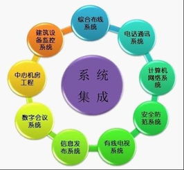 拉勾網 信息系統集成服務的價值與未來趨勢